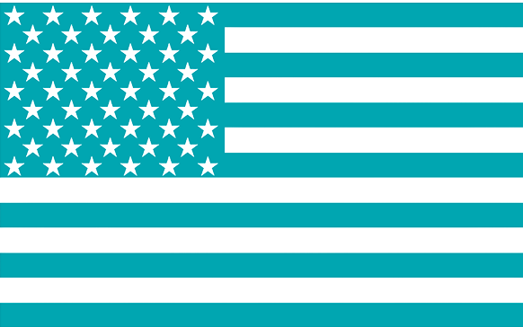 USA Flag